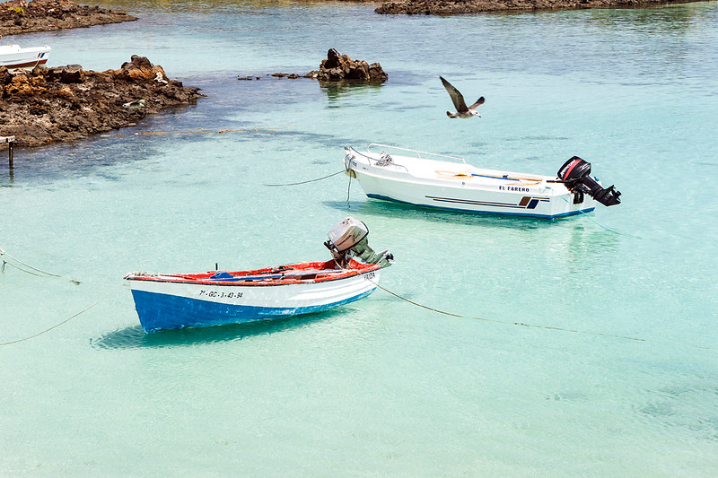 Isla de Lobos Tours — Foto 2