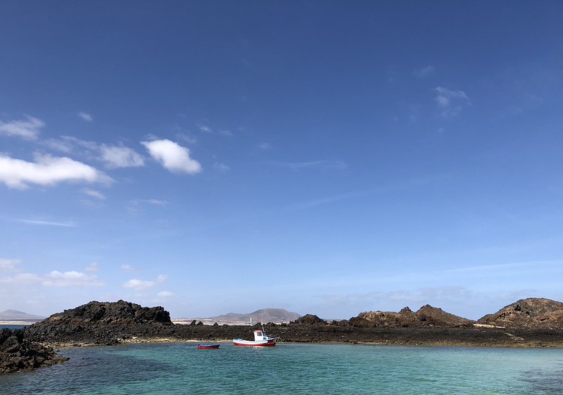 Isla de Lobos Tours — Foto 3