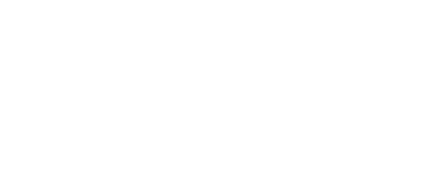 Lobos Tours